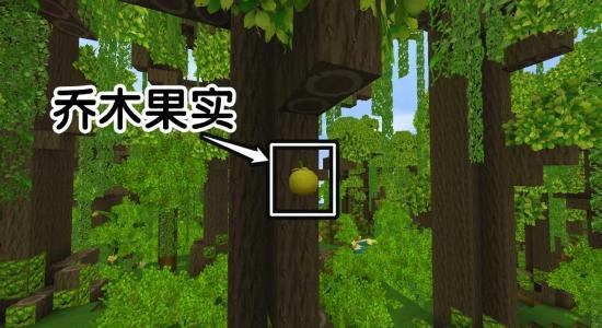 迷你小雨林爆料了吗视频  第3张